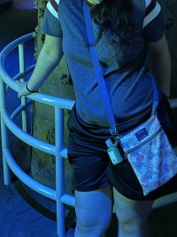 IMG_0027.jpeg