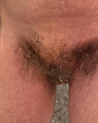 IMG_8765.jpeg