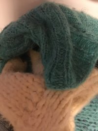 IMG_7988.jpeg