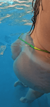 20250419_161241_1.gif