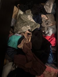IMG_8267.jpeg