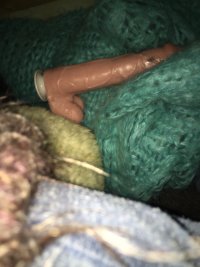 IMG_8092.jpeg