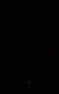 535646408.gif