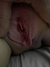 IMG_4083.jpeg