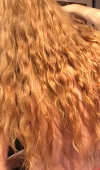 IMG_0753.jpeg