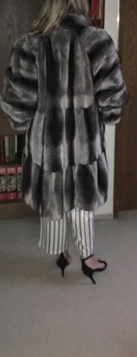 IMG_7674.jpeg