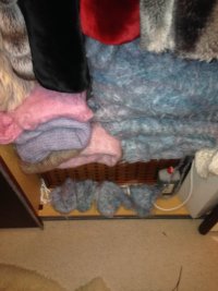 IMG_3998.jpeg