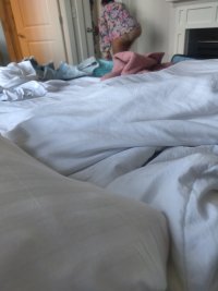 IMG_20250525_115647.jpg
