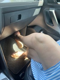 IMG_2704.jpeg