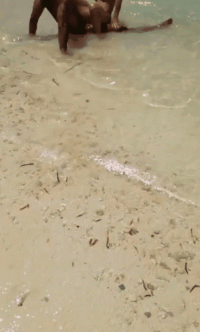 1847841758.gif