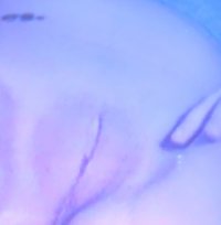 32617C18-959B-40D4-B252-DAB9294CD8E7.jpeg