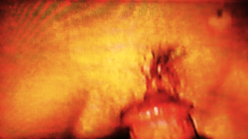 1725293120264.png