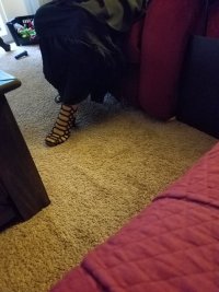 Tumblr_l_123243519195953.jpg