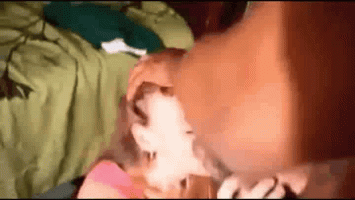 117718466.gif