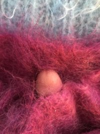 IMG_0633.jpeg