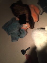 IMG_1583.jpeg
