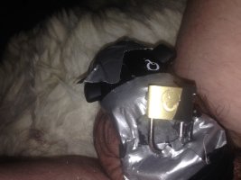 IMG_1686.jpeg