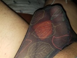 2675577457.jpg