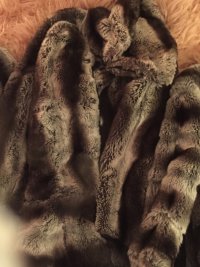 IMG_2675.jpeg