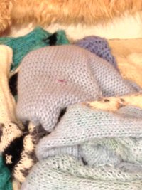 IMG_3639.jpeg
