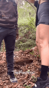 RDT_20250329_112458(1).gif