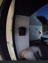IMG_6373.jpeg