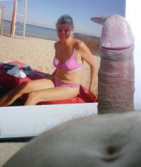 Pic1.jpg