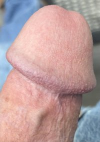 IMG_3217.jpeg