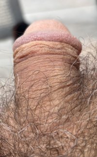 IMG_3223.jpeg