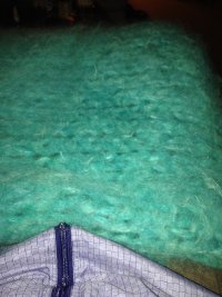 IMG_1823.jpeg