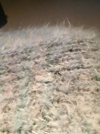 IMG_3579.jpeg