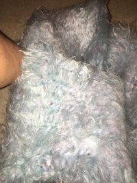 IMG_1574.jpeg