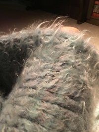 IMG_1424.jpeg