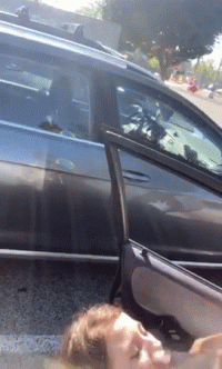 23916090.gif