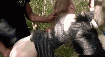 24434070.gif