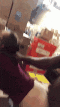 24435298.gif