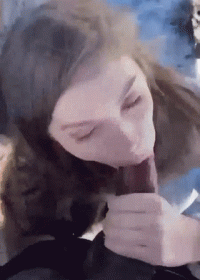 25031475.gif