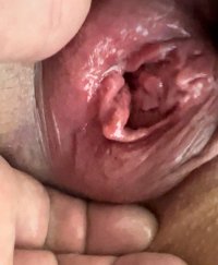 IMG_3194.jpeg