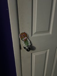 IMG_0014.jpeg