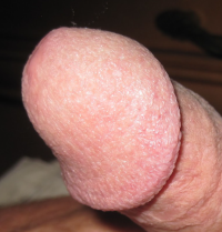 1752352122256.png