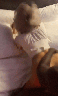 29095504.gif
