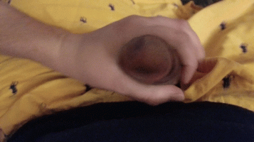 1000047539.gif
