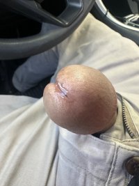 IMG_9881.jpeg