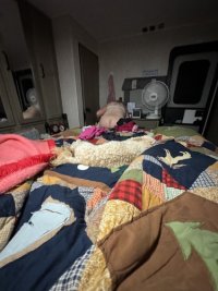 IMG_3517.jpeg