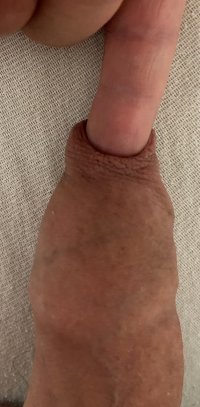 IMG_3171.jpeg