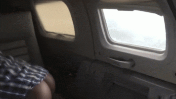 175865846.gif