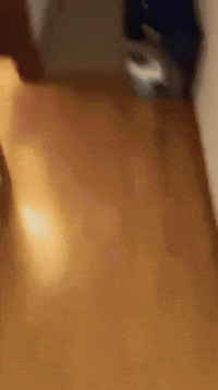 221871410.gif