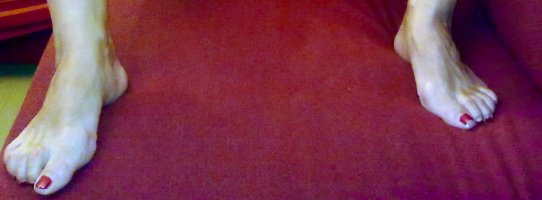 IMG_7363.jpeg