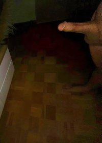 IMG_8788.jpeg