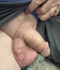 1754682032156.jpeg